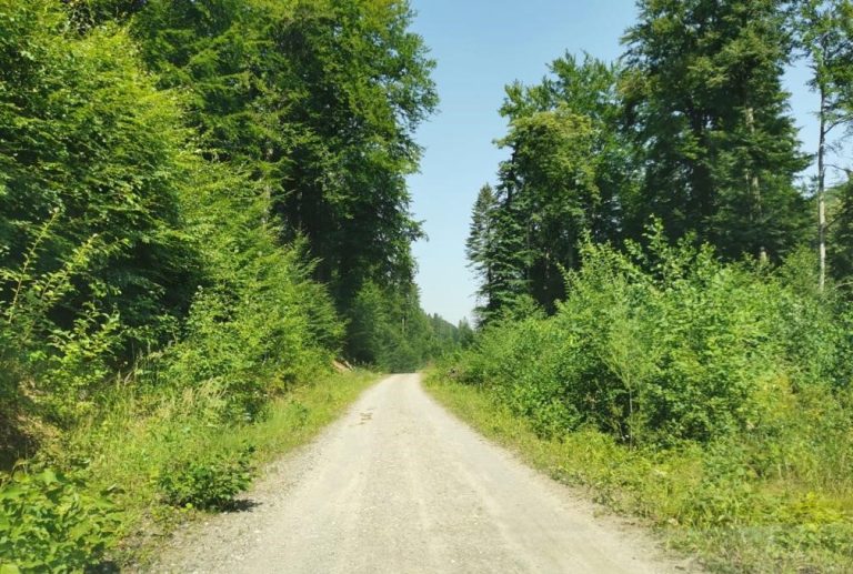 ACCESIBILIZAREA FONDULUI FORESTIER PROPRIETATE PUBLICĂ A MUNICIPIULUI BRAŞOV PRIN CONSTRUIREA DE DRUMURI NOI ŞI REABILITARE DE DRUMURI FORESTIERE EXISTENTE