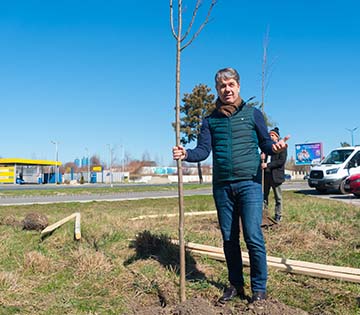 De astăzi încep plantările de puieți în cadrul campaniei Brașovul verde