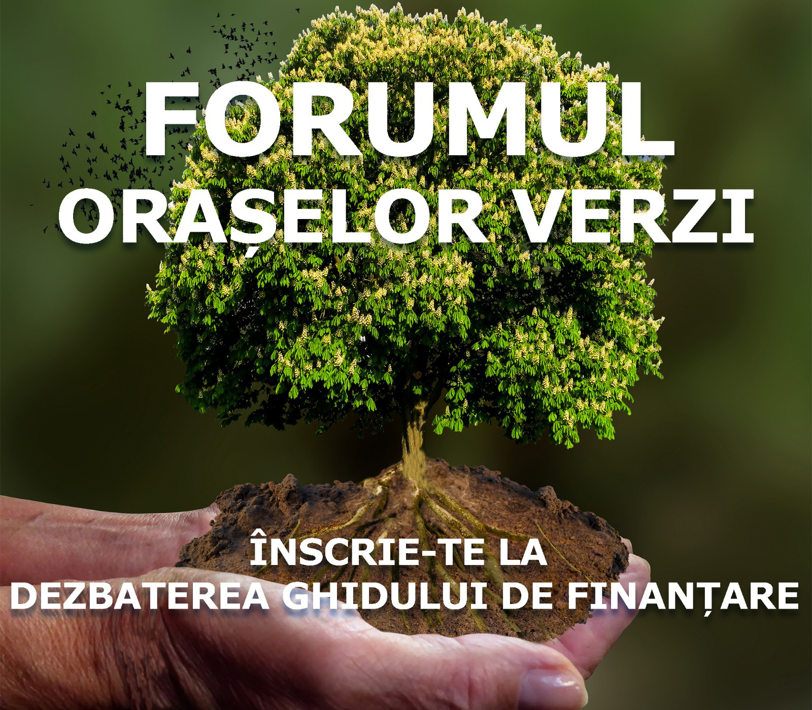 Consultare publică on-line pe Ghidul de finanțare pentru ONG-uri, în cadrul Forumului Orașelor Verzi