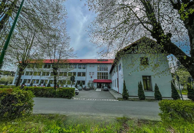 PLANIFICARE STRATEGICĂ ȘI DIGITALIZAREA SERVICIILOR SOCIALE AFLATE ÎN COMPETENȚA DIRECȚIEI DE ASISTENȚĂ SOCIALĂ BRAȘOV