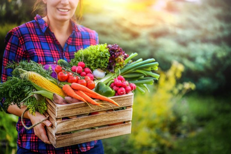 FOODCLIC - POLITICI ALIMENTARE URBANE INTEGRATE - DEZVOLTAREA CO-BENEFICIILOR DURABILITĂȚII, LEGĂTURILOR SPAȚIALE, INCLUZIUNII SOCIALEȘI CONEXIUNILOR SECTORIALE PENTRU A TRANSFORMA SISTEMELE ALIMENTARE ÎN ORAȘE-REGIUNI