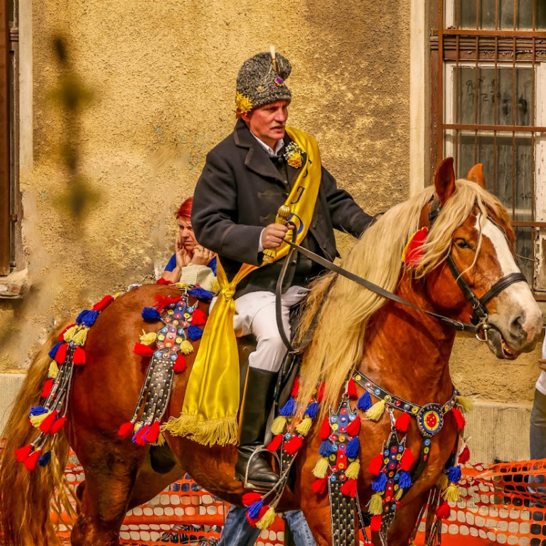 Societatea Junilor Dorobanți