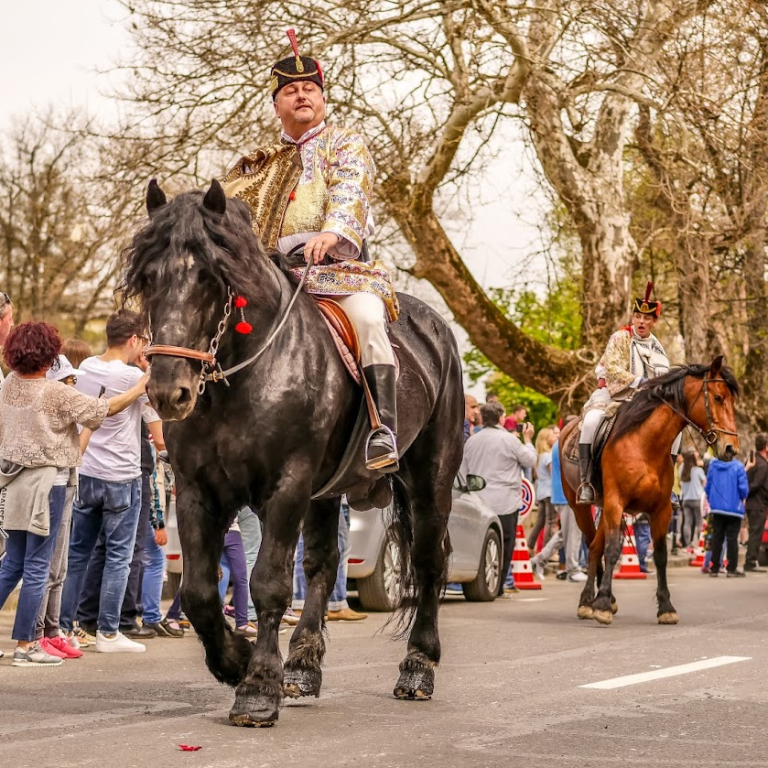 Societatea Junilor Roșiori