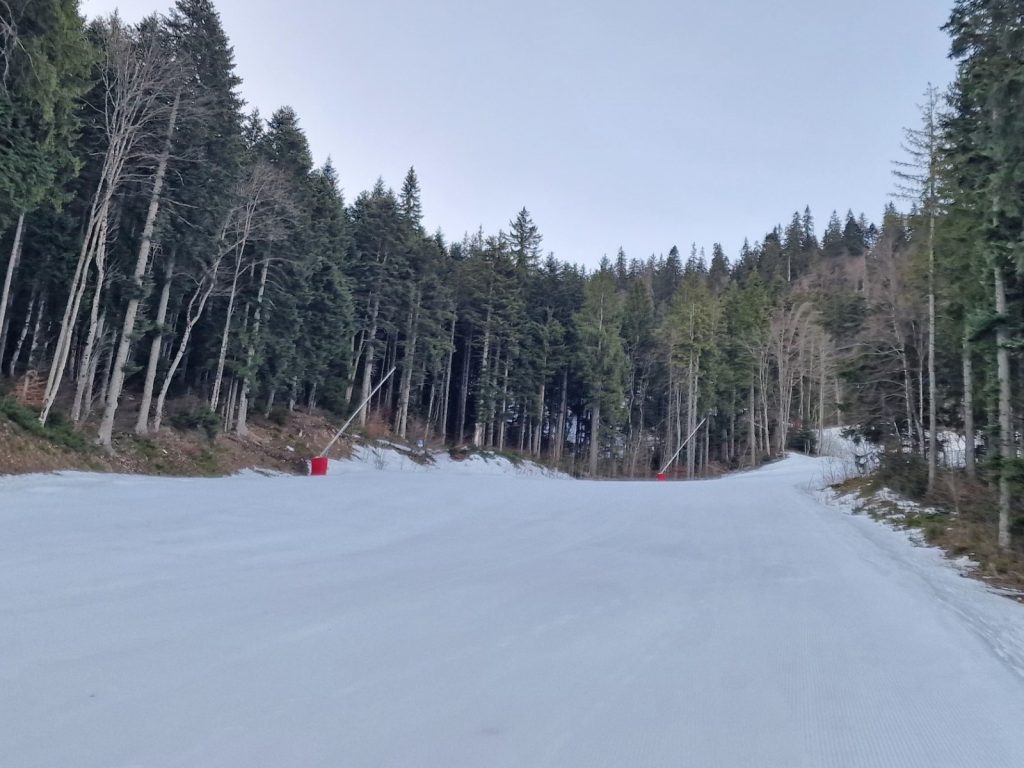 partii