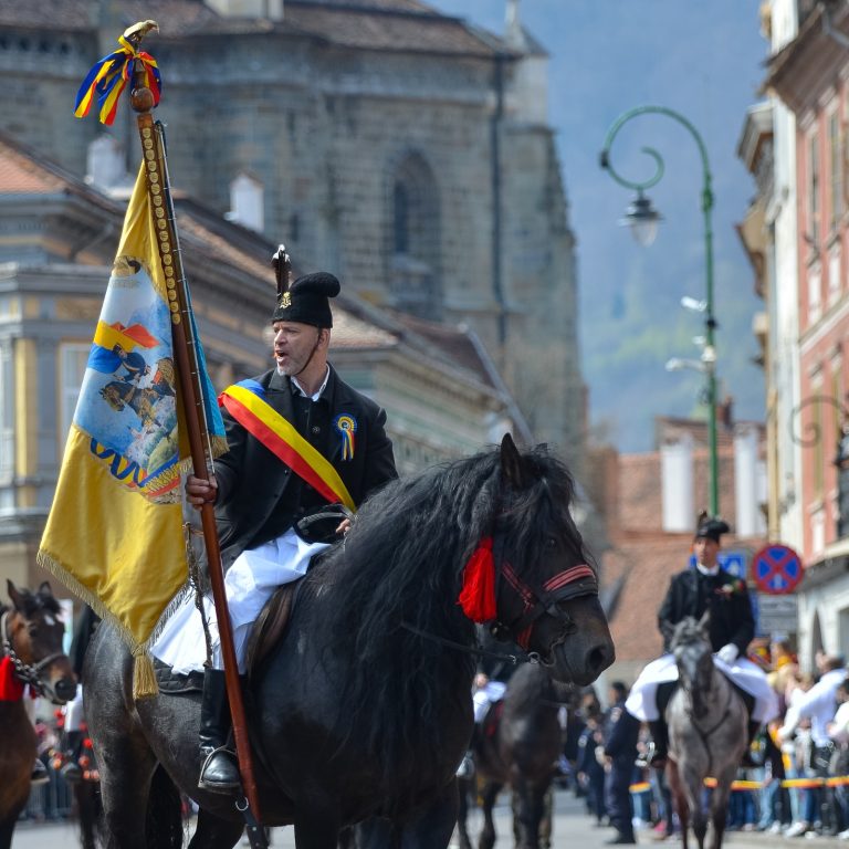 Societatea Junilor Curcani