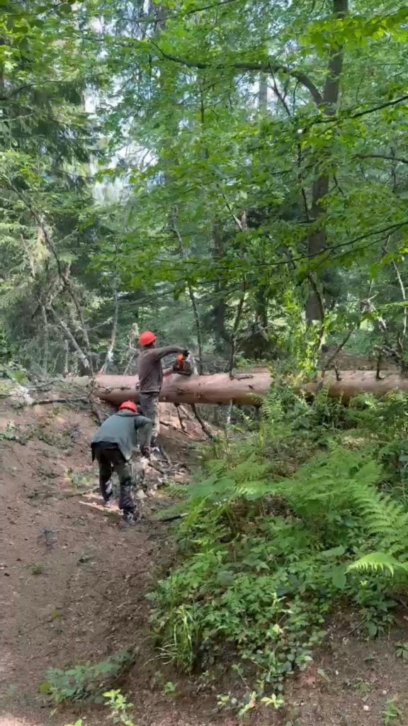 deschidere bike park poiana brasov