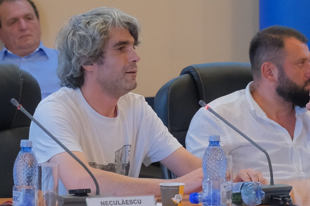 Lucuan Păltânea, arhitect