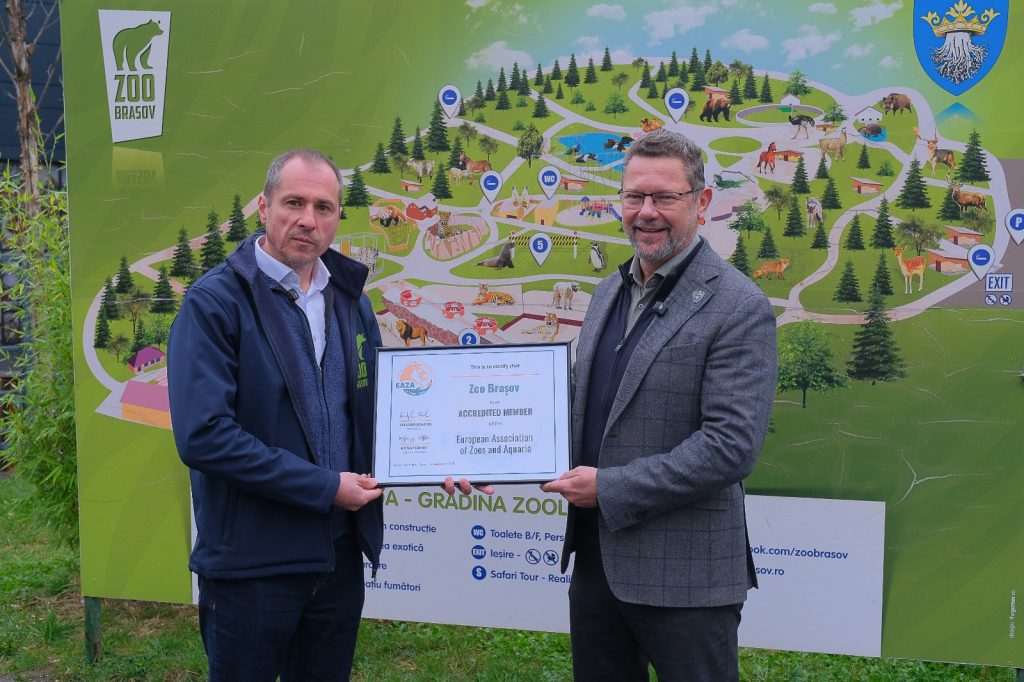 Directorul Zoo Brasov si Viceprimarul Dan Ghiță prezintă cetificatul EAZA