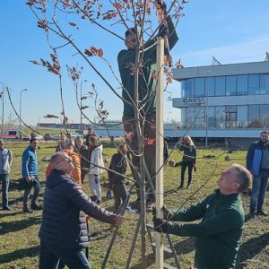 Cel mai mare hub pentru biodiversitate din România a prins viață astăzi la CATTIA – Brașov