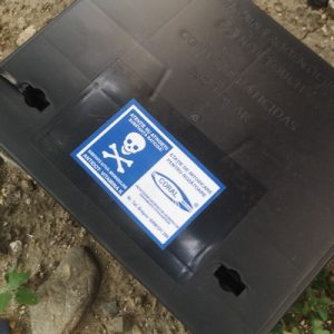 Astăzi a început o nouă campanie de deratizare