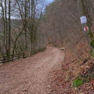 Aluviunile de la inundații, material pentru consolidarea drumului vechi spre Poiană