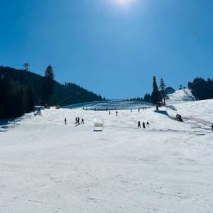 De mâine nu doar că puteți schia la jumătate de preț, dar puteți începe mai devreme