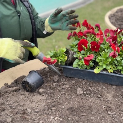 Pregătim orașul pentru primăvară și Sărbătorile Pascale