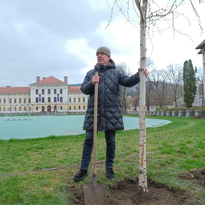 35 de puieți în locul celor 5 arbori uscați din Parcul Gheorghe Dima