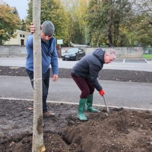 10.500 de arbori și peste 20.000 de arbuști plantați în ultimii doi ani